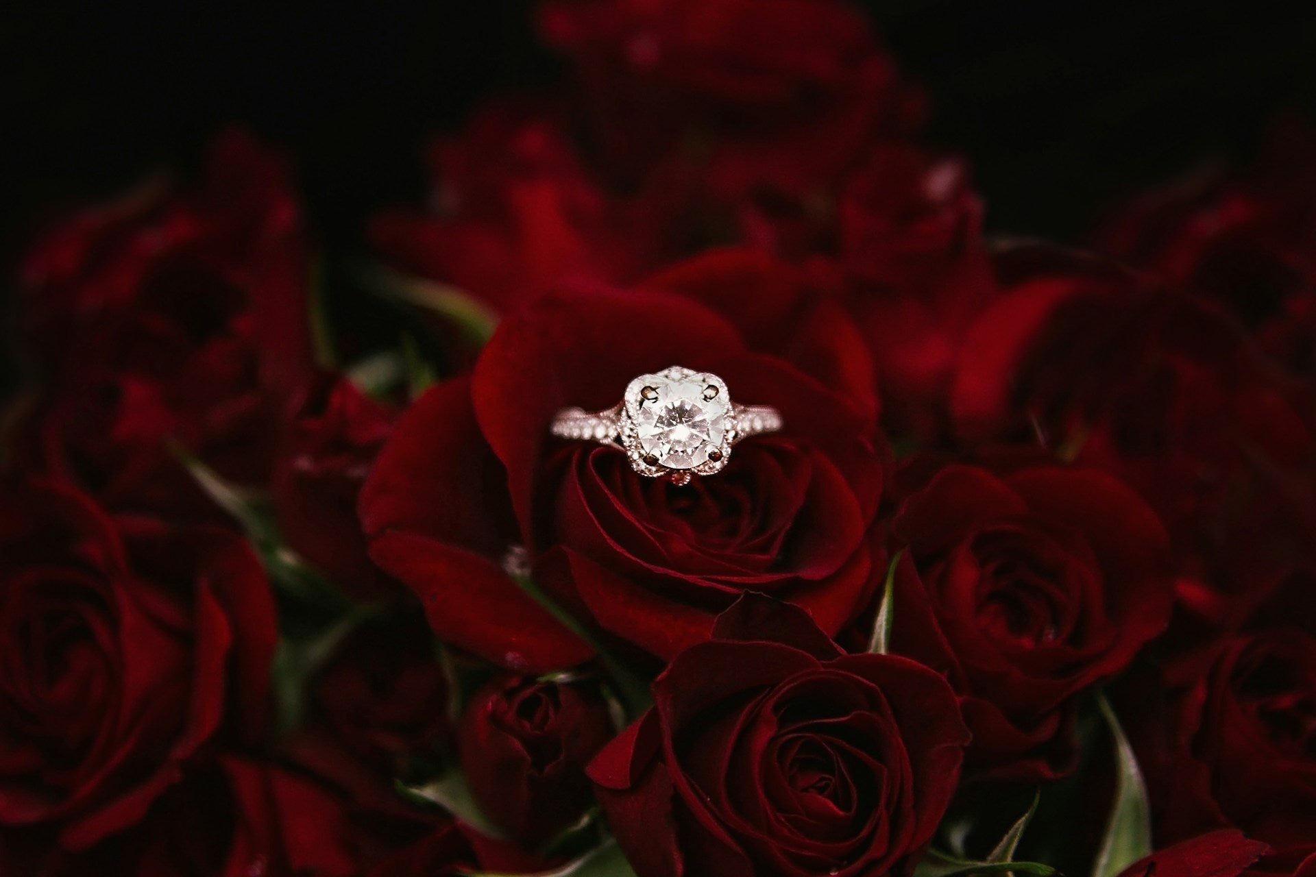 Engagement Ring