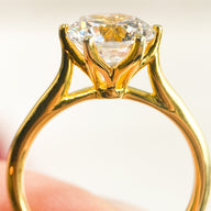 BW James Jewelers Custom Engagement Ring The "Primrose Rose"