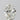 BW James Jewelers diamond 2.01ct Oval Lab Grown Diamond (Colour G, Clarity VS1, IGI Certified) 2.01ct Oval Lab Grown Diamond (Colour G, Clarity VS1, IGI Certified)