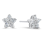 BW James Jewelers Earrings Silver and Diamond Earrings
