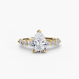 BW James Jewelers setting Solitaire with Eternity Pavé 2