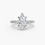 BW James Jewelers setting Solitaire with Eternity Pavé 2