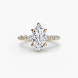 BW James Jewelers setting Solitaire with Eternity Pavé 2