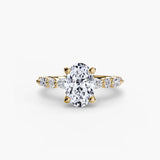 BW James Jewelers setting Solitaire with Eternity Pavé 2