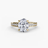 BW James Jewelers setting Solitaire with Pavé 7