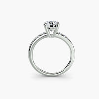 BW James Jewelers setting Solitaire with Shoulder Accents