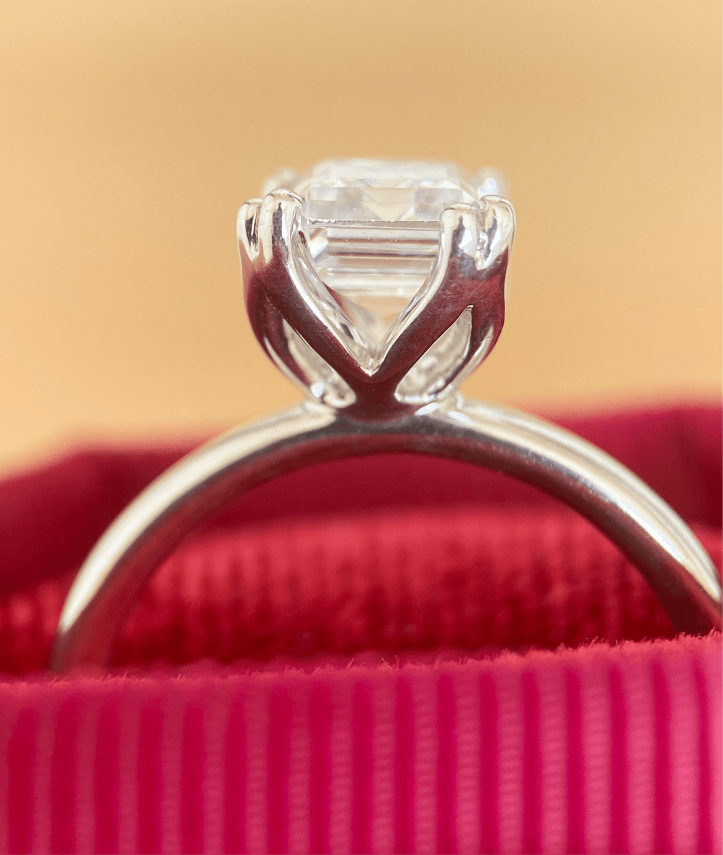 BW James Jewelers Signature Basket Solitaire