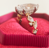 BW James Jewelers Signature Flower Hidden Halo