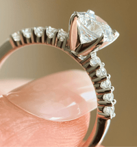 BW James Jewelers Signature Prong Set