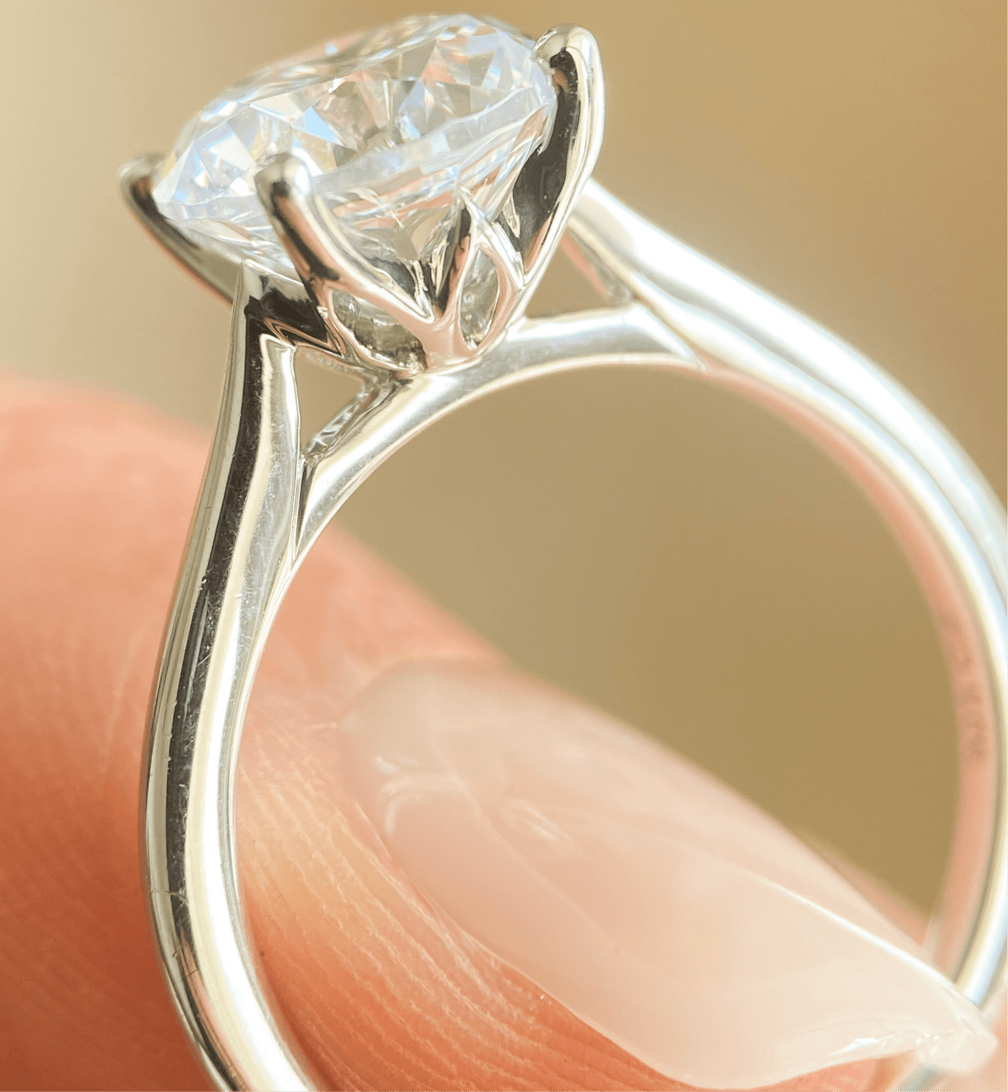 BW James Jewelers Signature Tapered Basket Solitaire