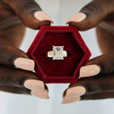 BW James Jewelers Signature Thick Band Solitaire