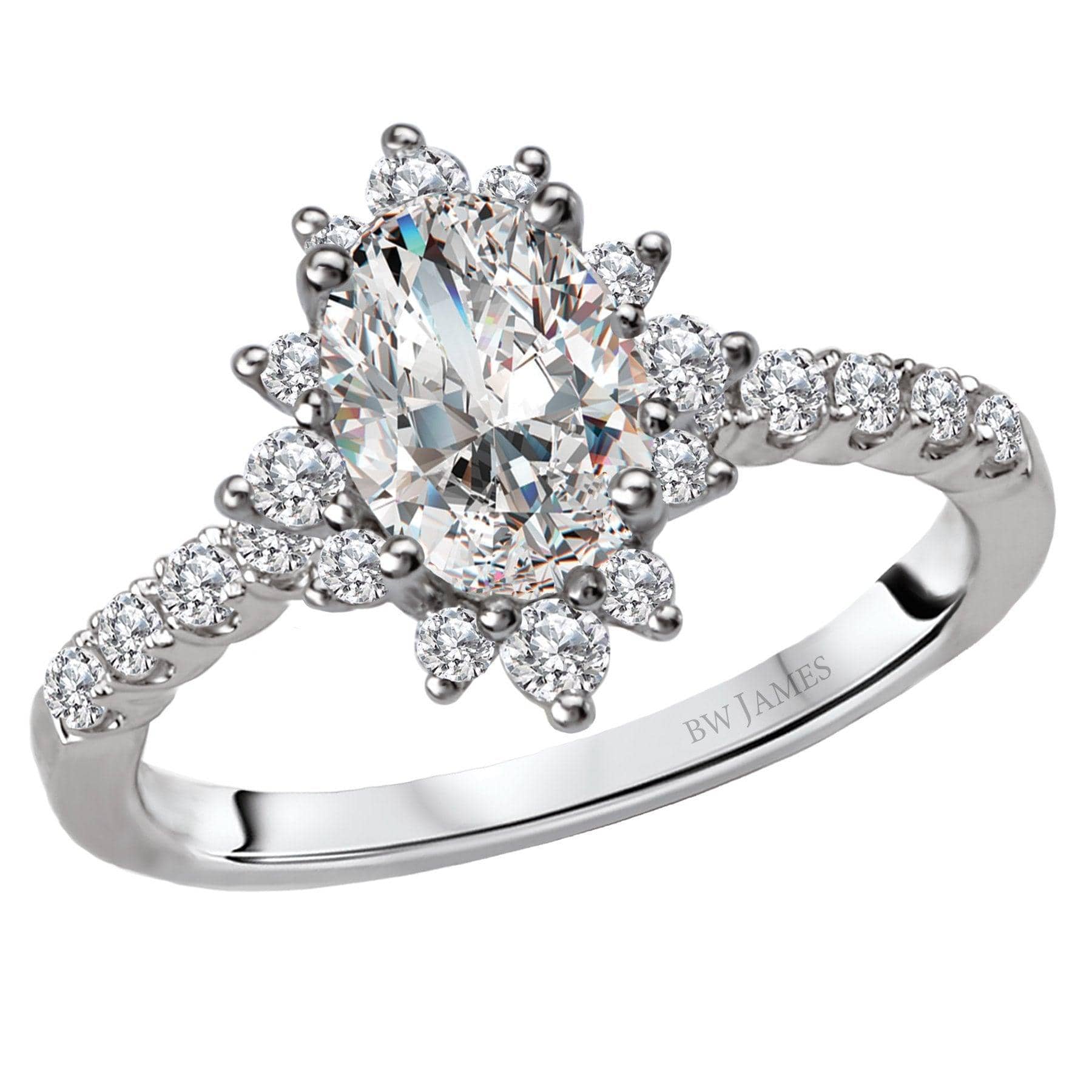 BW JAMES Engagement Rings > Diamond Rings " The Argentina" Halo Semi-Mount Diamond Ring